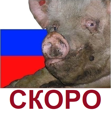 424x437